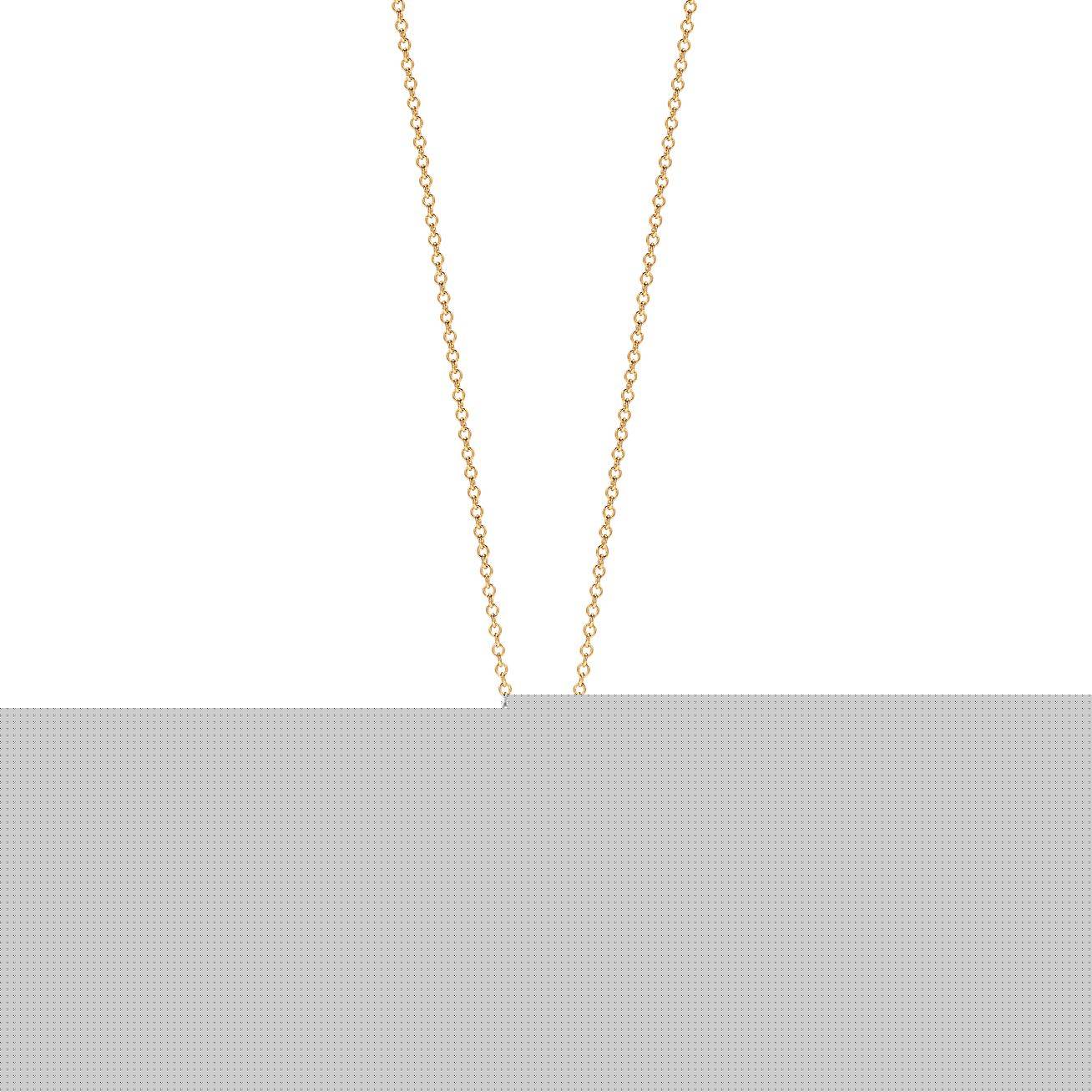 T*f*ny  paloma picasso® olive leaf pendant