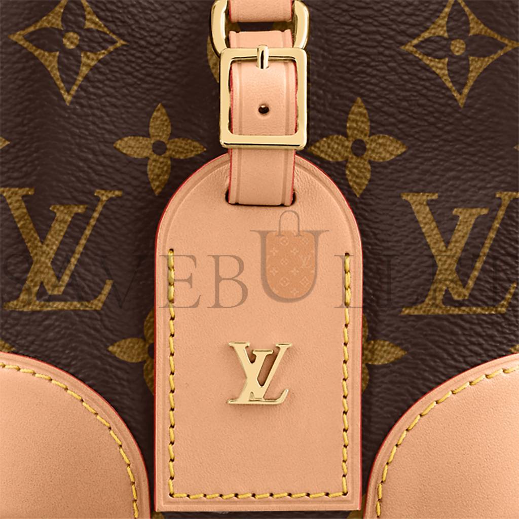 l**is V*t*n noÉ purse m57099 (12*12*12cm)